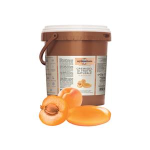 Cremagel de fruits naturel - Abricot 6.5Kg