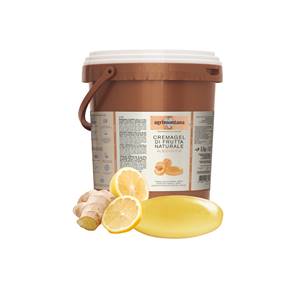 Cremagel de fruits naturel - Citron & Gingembre 6.5Kg