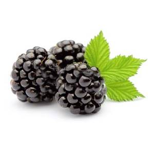 Confiture extra de mures sauvages 
